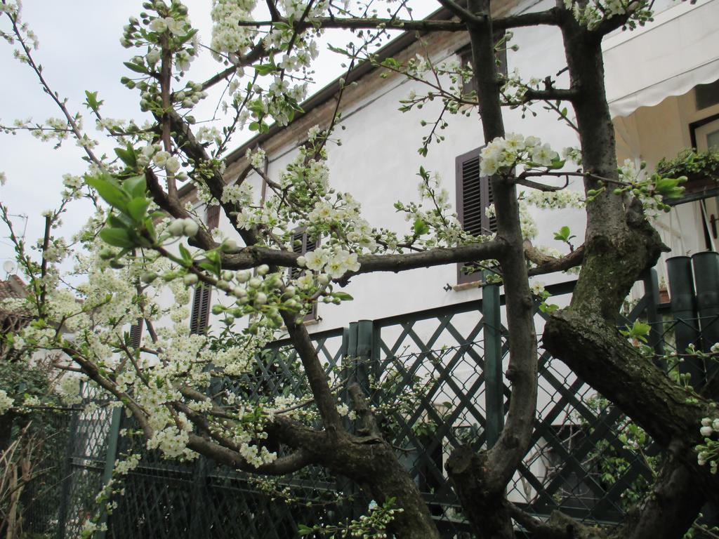 Dimora & Arte B&B Canneto sull'Oglio Zewnętrze zdjęcie